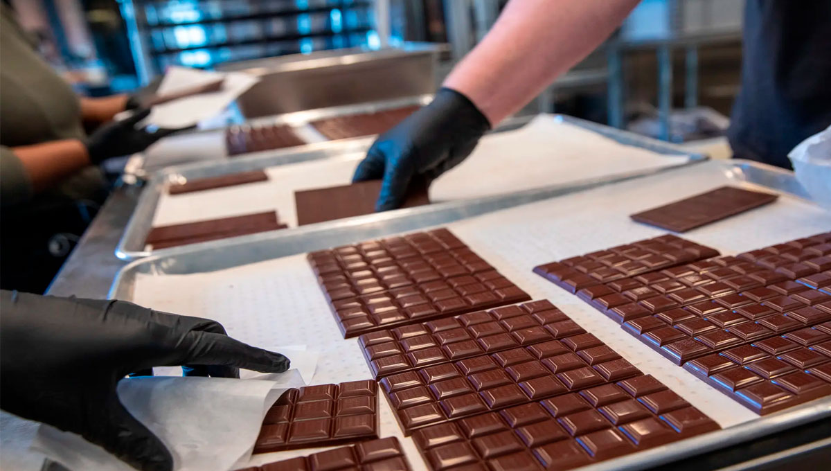 En este momento estás viendo Gerente de Producción en Chocolatería y Pastillaje